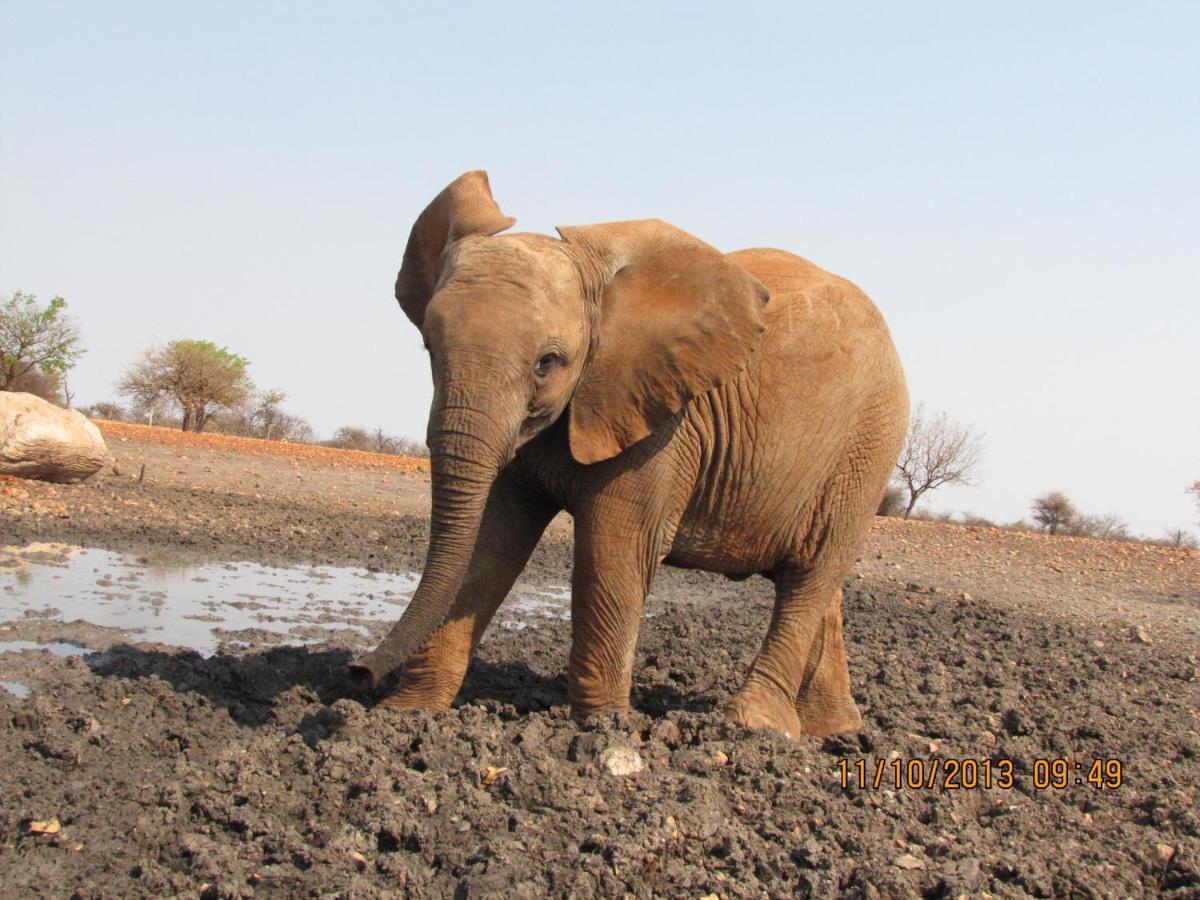 Okutala Etosha Lodge เอาท์โจ ภายนอก รูปภาพ