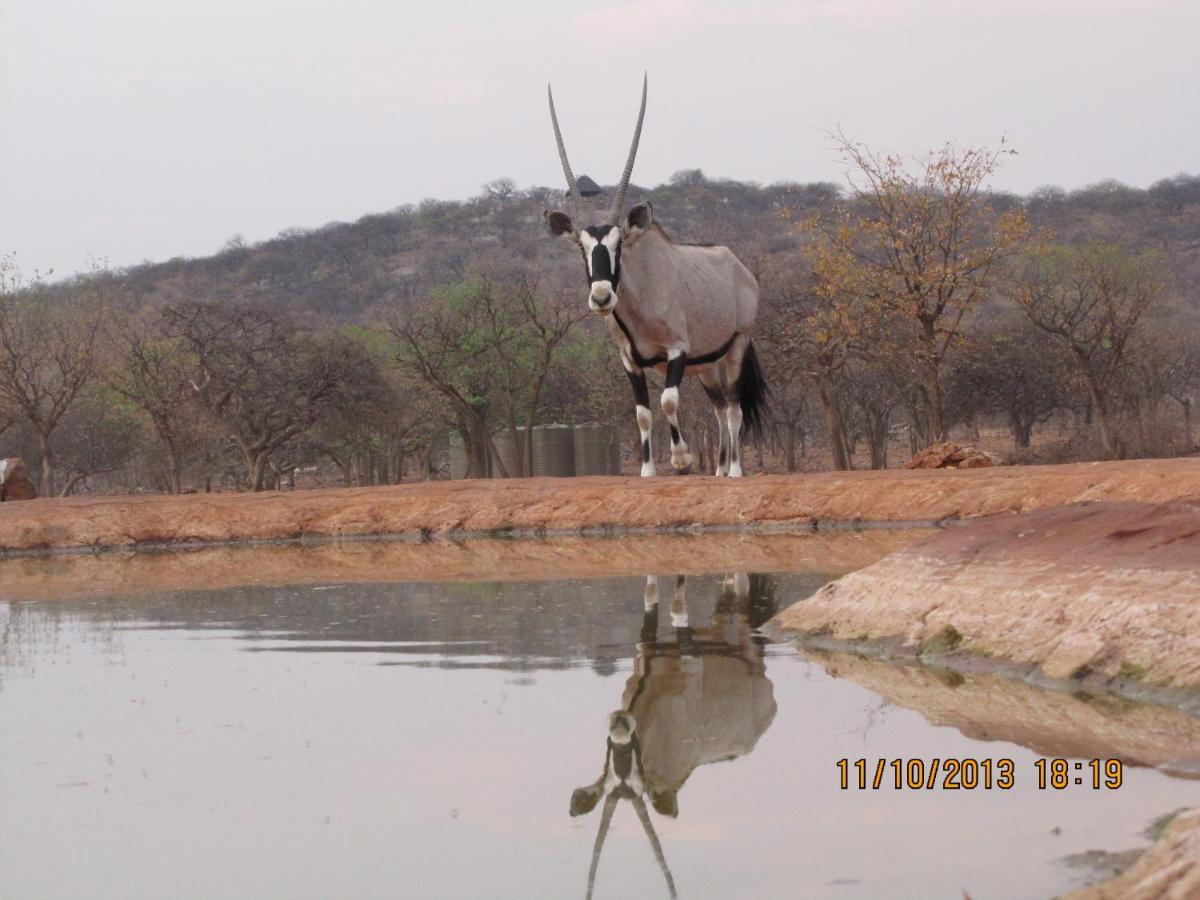 Okutala Etosha Lodge เอาท์โจ ภายนอก รูปภาพ